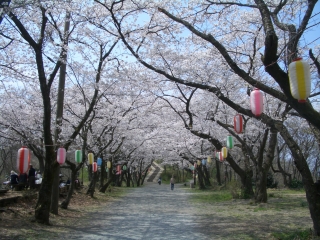 弘法山公園 秦野市おでかけレポート